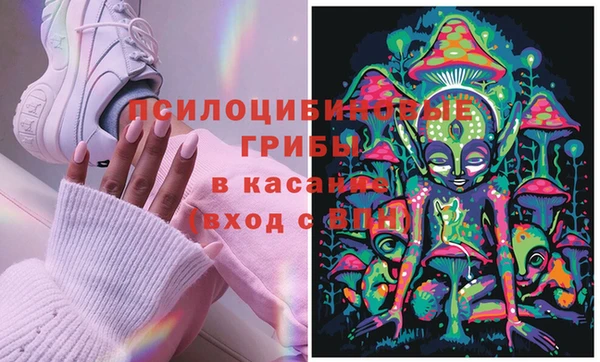 ПСИЛОЦИБИНОВЫЕ ГРИБЫ Армянск